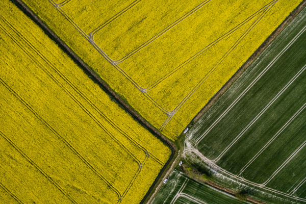 DJI_0142_export